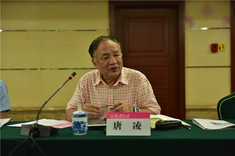 廣西歷史學(xué)會(huì)會(huì)長(zhǎng)、廣西師范大學(xué)歷史文化與旅游學(xué)院教授唐凌發(fā)言（郭倩 攝）.JPG